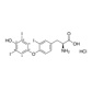 3,3′,5-triiodo-L-thyronine·HCl (rev T3) (diiodophenyl-ring-¹³C₆,99%) 100µg/mL 0.1N NH₃/MeOH