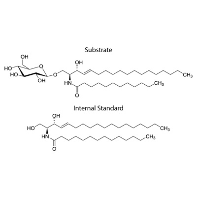 Glucocerebrosidase Substrate and Internal Standard Mix