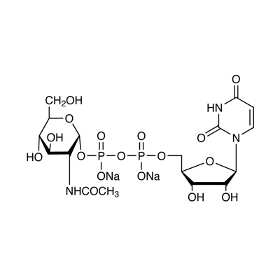 Uridine diphosphate-α-𝑁-acetyl-D-glucosamine, disodium salt (unlabeled)