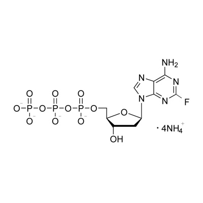 2-Fluoro-2′-deoxyadenosine 5′-triphosphate, ammonium salt (unlabeled) (in solution) CP 95%