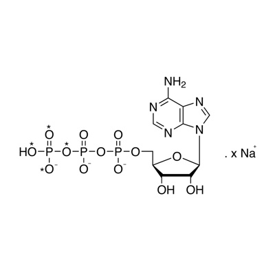 Adenosine 5′-triphosphate, sodium salt (γ-¹⁸O₄, 94%)